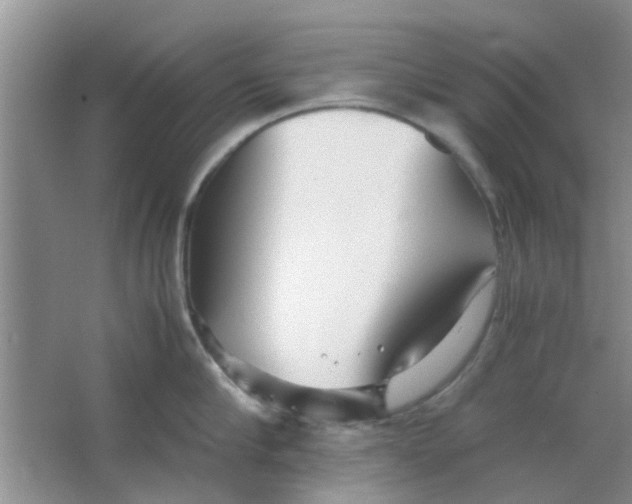 X0000063520910200602101948