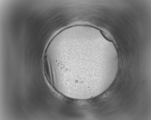 X0000063520911200602101948