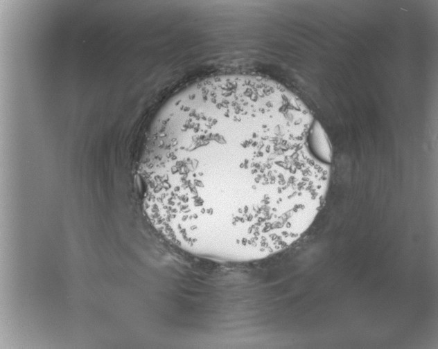 X0000063520913200602101947