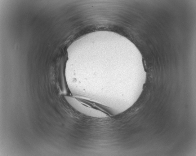 X0000063520916200602101947