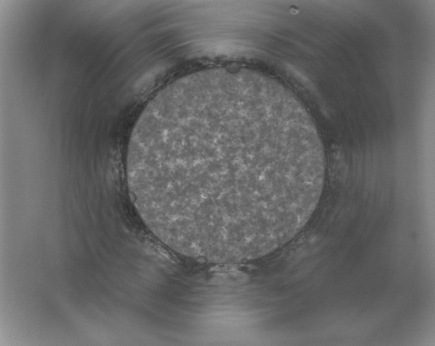 X0000063520918200602101947