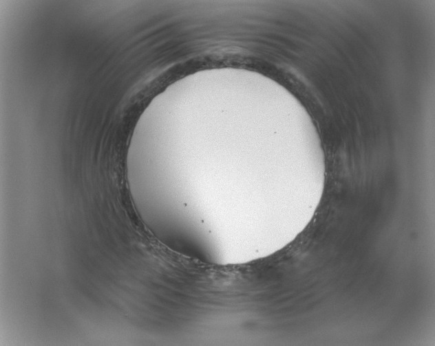 X0000063520919200602101947