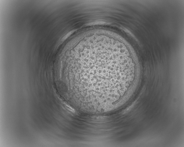 X0000063520921200602101947