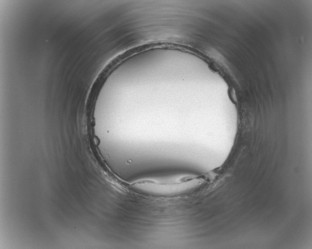 X0000063520924200602101947