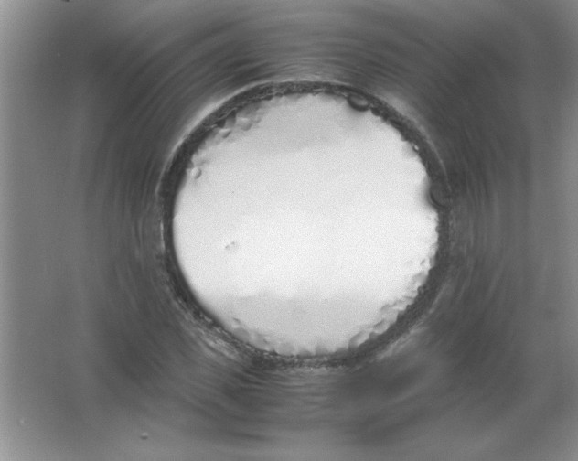 X0000063520925200602101947