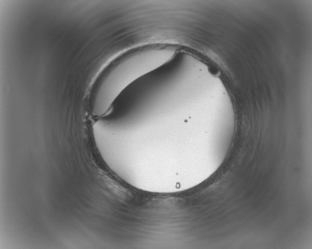 X0000063520926200602101947