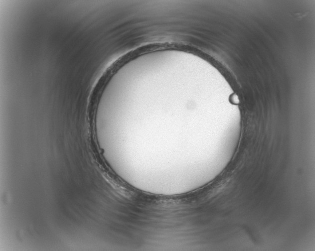 X0000063520927200602101947