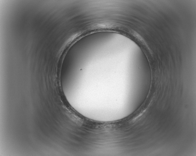 X0000063520930200602101947