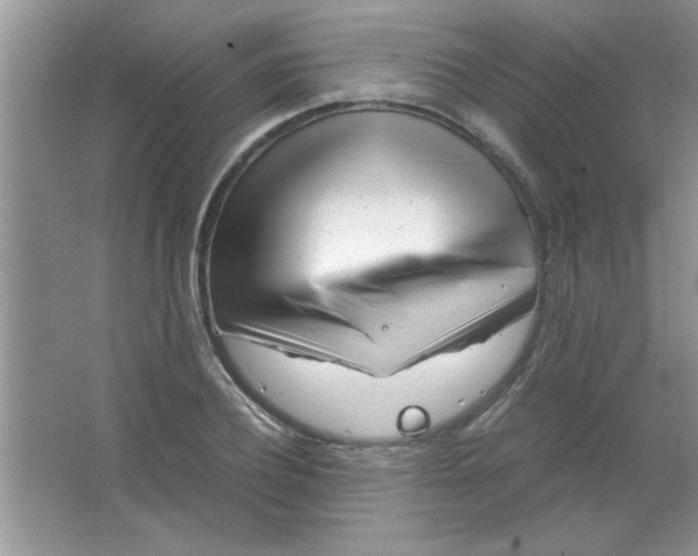 X0000063520932200602101948