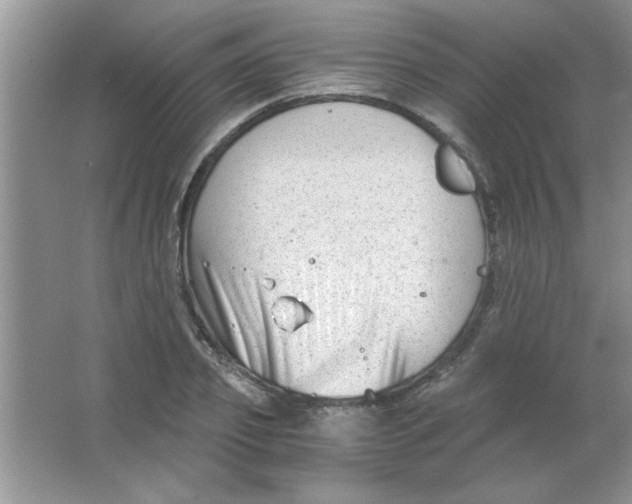 X0000063520933200602101948