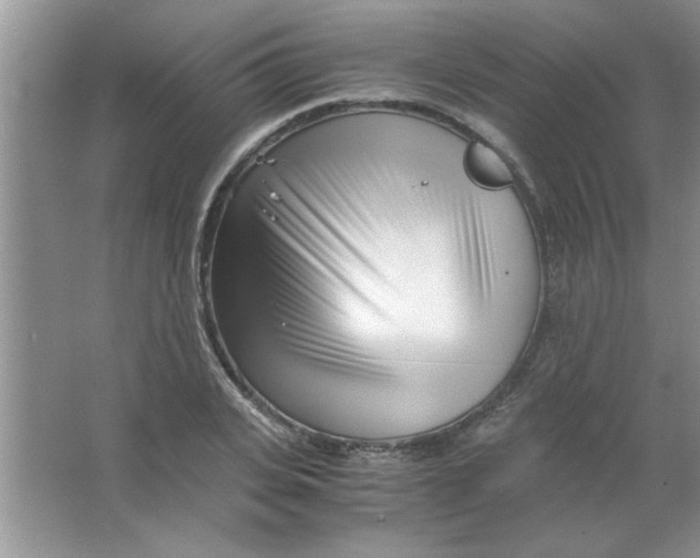 X0000063520935200602101948