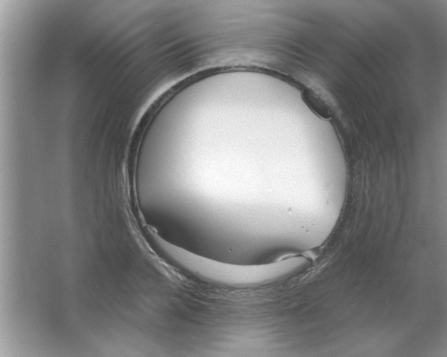 X0000063520936200602101948