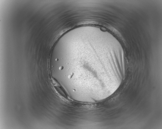 X0000063520937200602101948