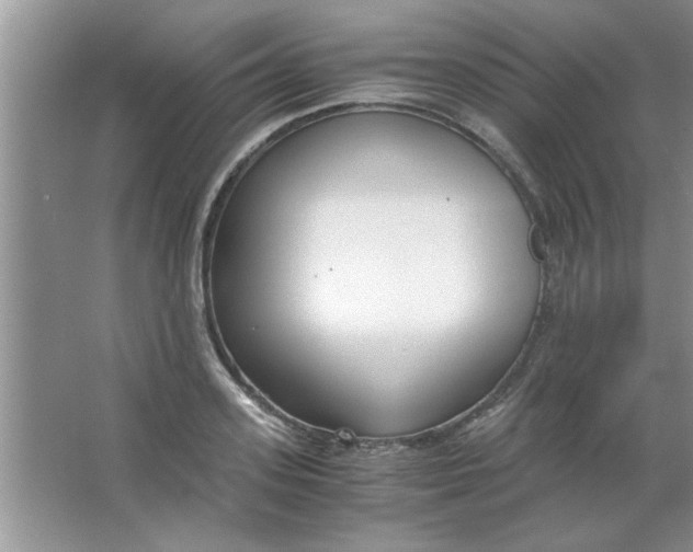 X0000063520939200602101948