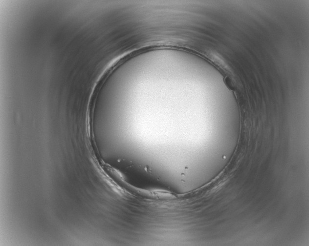 X0000063520940200602101948