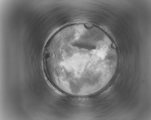 X0000063520941200602101948