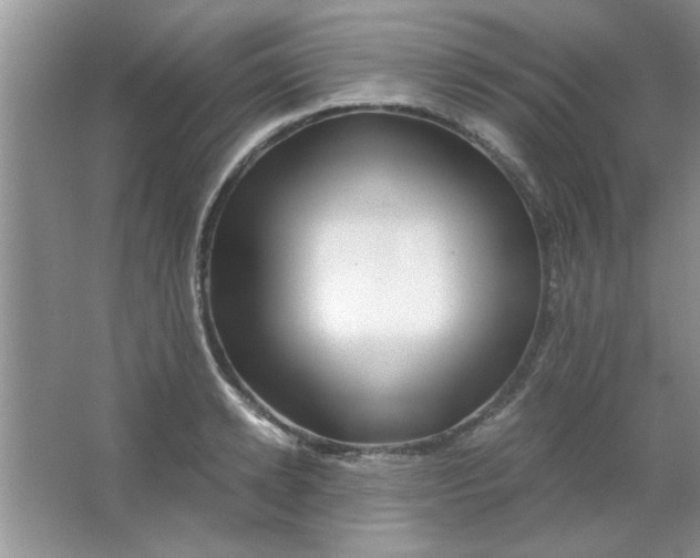 X0000063520942200602101948