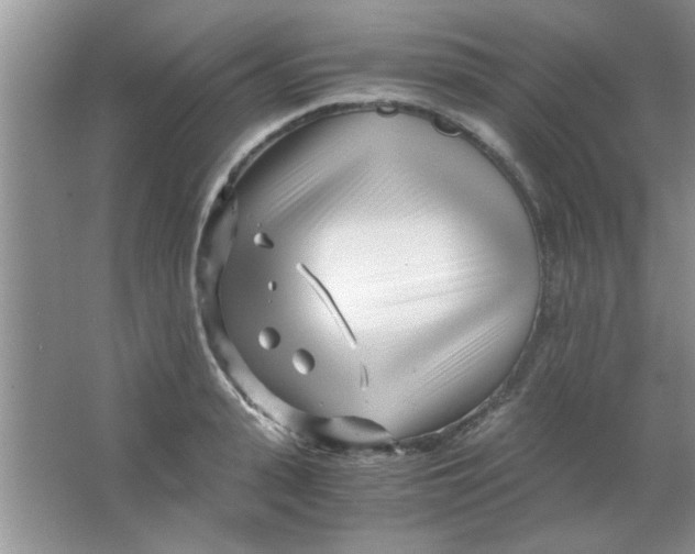 X0000063520943200602101948