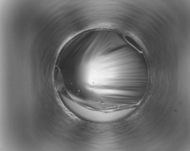 X0000063520944200602101948