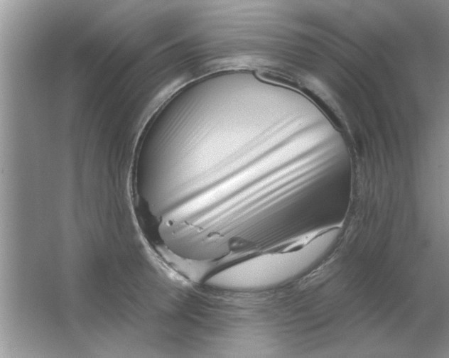 X0000063520946200602101948