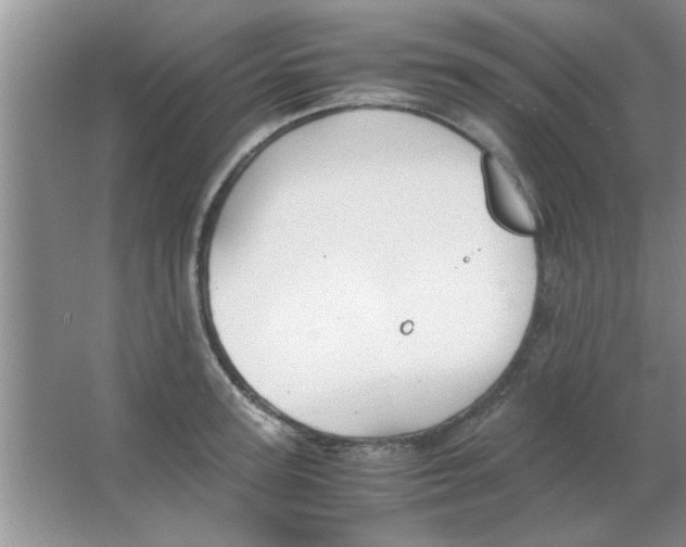 X0000063520947200602101948