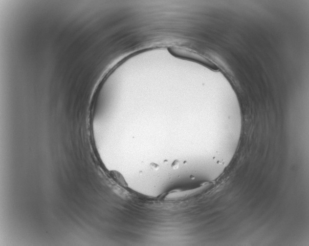 X0000063520948200602101948