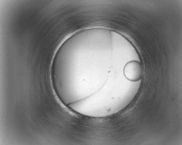 X0000063520949200602101948