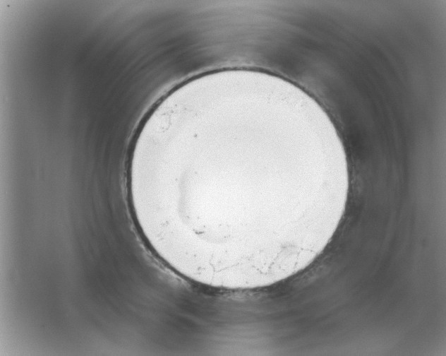 X0000063520950200602101948