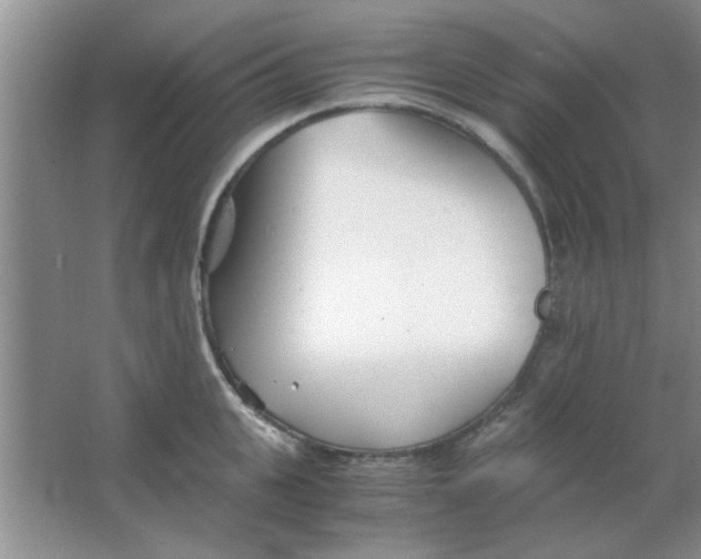 X0000063520951200602101948