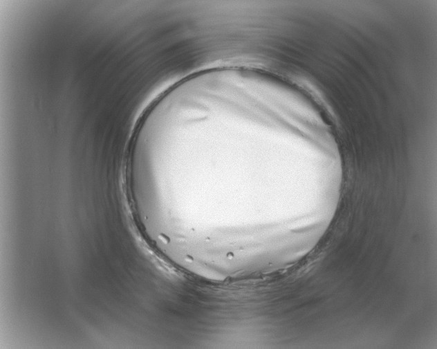 X0000063520952200602101948