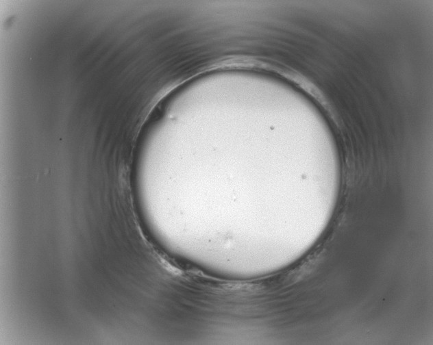 X0000063520953200602101948