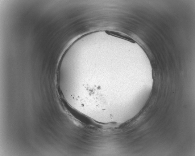 X0000063520956200602101948