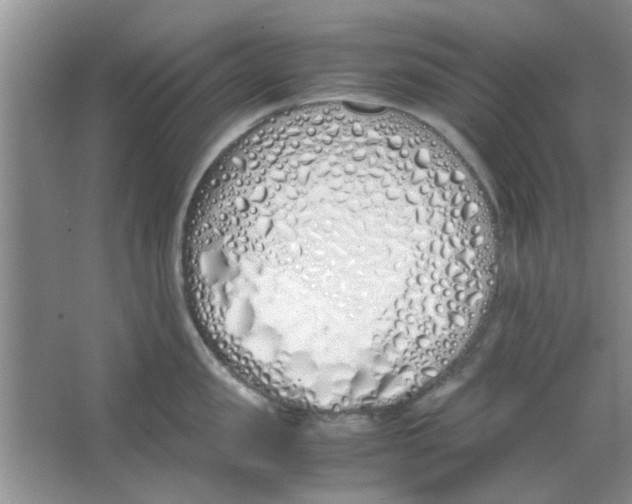 X0000063520957200602101948