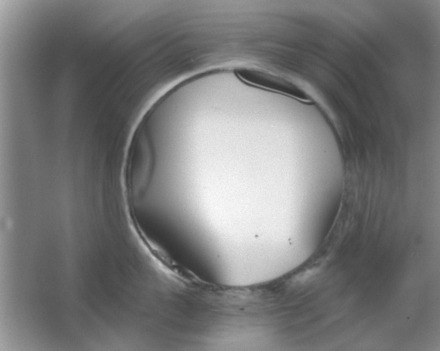 X0000063520959200602101948