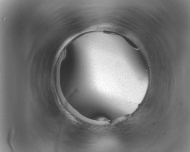 X0000063520960200602101948