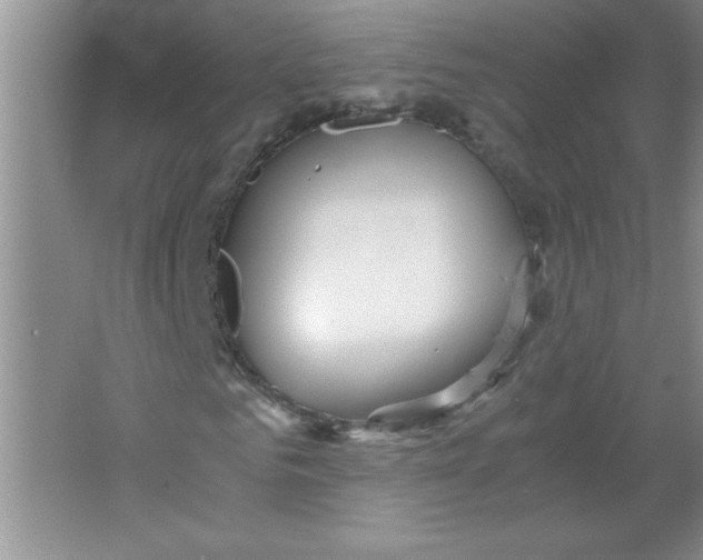 X0000063520961200602101947