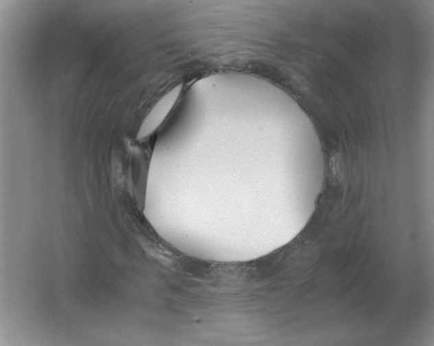 X0000063520963200602101947