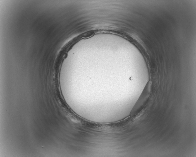 X0000063520971200602101947