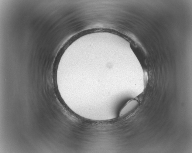 X0000063520972200602101947