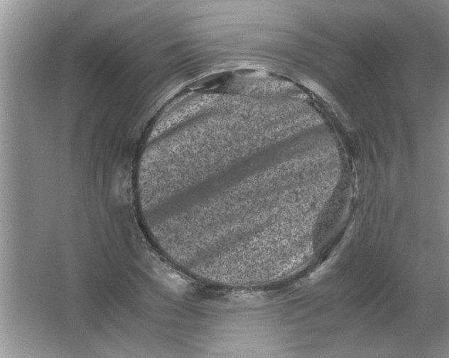 X0000063520977200602101947