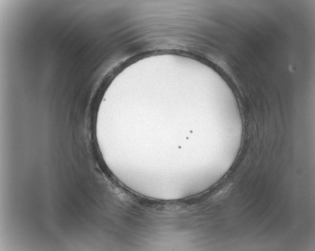 X0000063520979200602101947