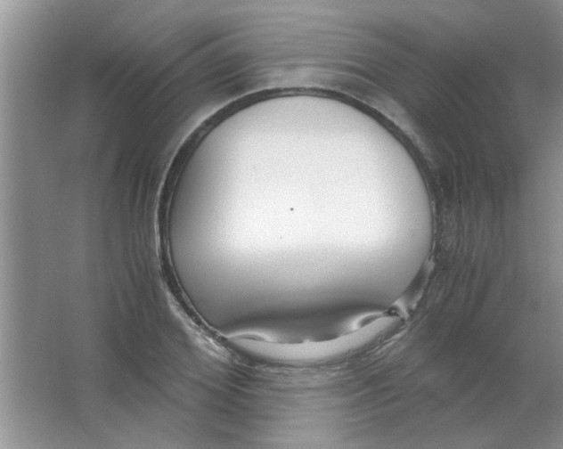 X0000063520980200602101947