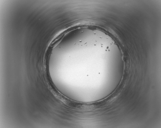 X0000063520981200602101947