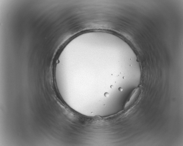 X0000063520982200602101947