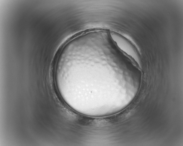 X0000063520983200602101947