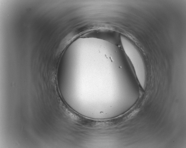 X0000063520985200602101947