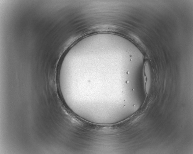 X0000063520986200602101947