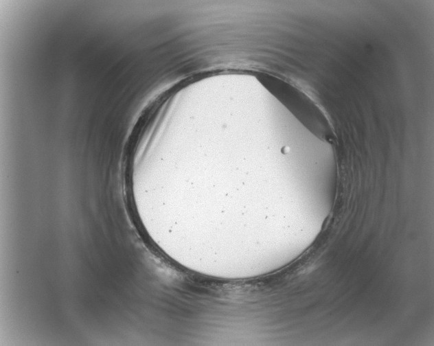 X0000063520987200602101947