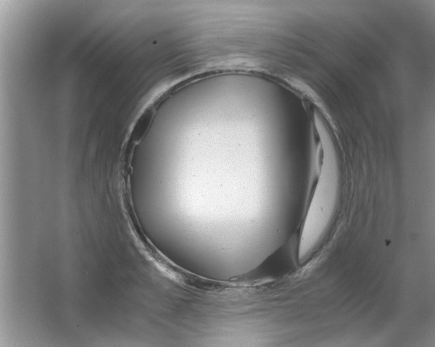 X0000063520989200602101947