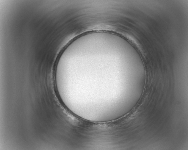 X0000063520990200602101947